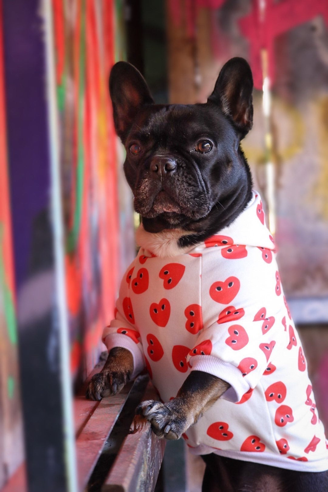 PuppyLove Hearts ™ Limited Edition Valentinstags-Hoodie