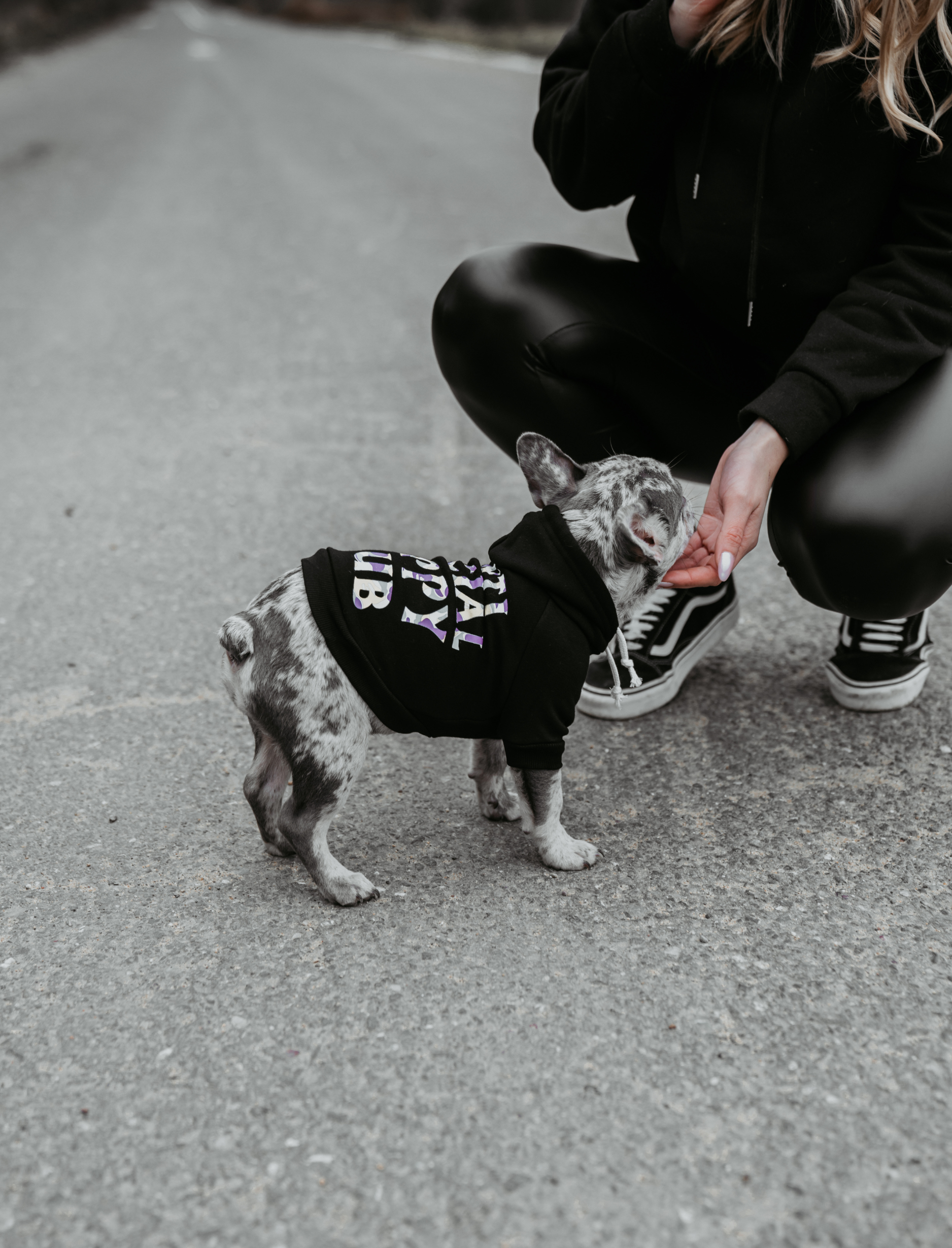Kapuzenpullover f r Hunde Schwarz Hundepullover Dogs Supreme