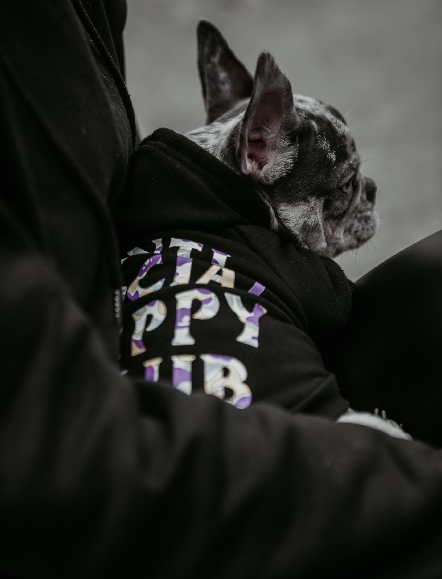Anti social social pup top hoodie