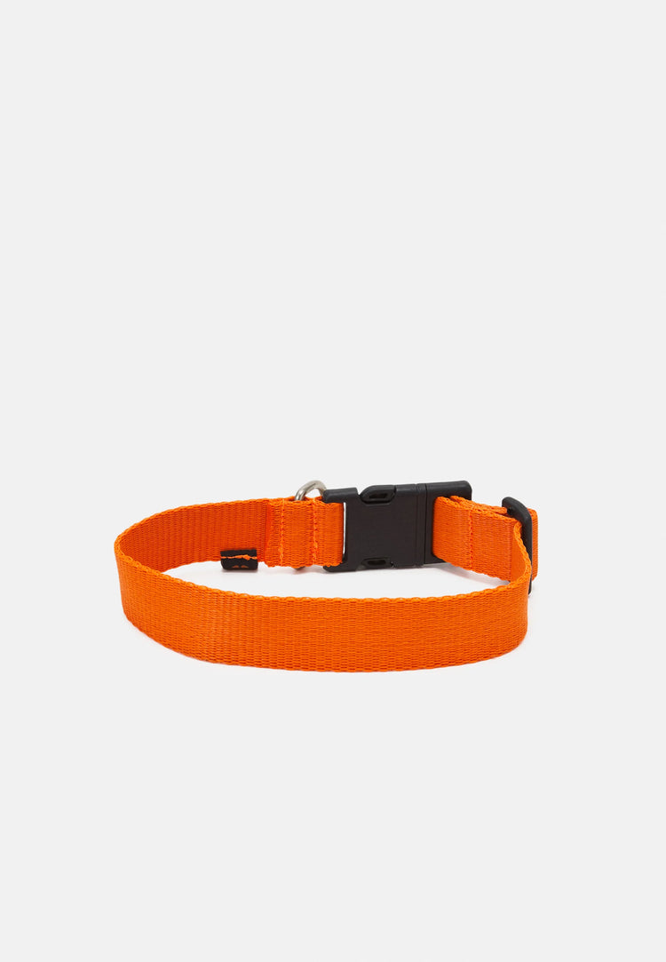 Hundehalsband Alpha Industries | Orange | Halsband | Dogs Supreme | Accessoires | Alpha Hund | Unisex | Basic