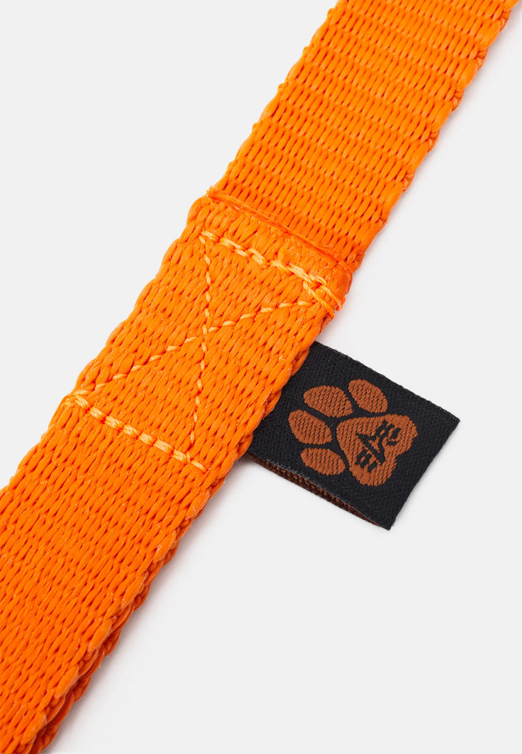 Basic Hundeleine Alpha Industries | Orange | Hundeleine | Dogs Supreme | Accessoires | Alpha Hund | Unisex