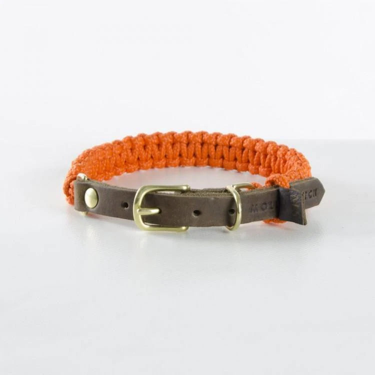 Hundehalsband Touch of leather - Pumpkin
