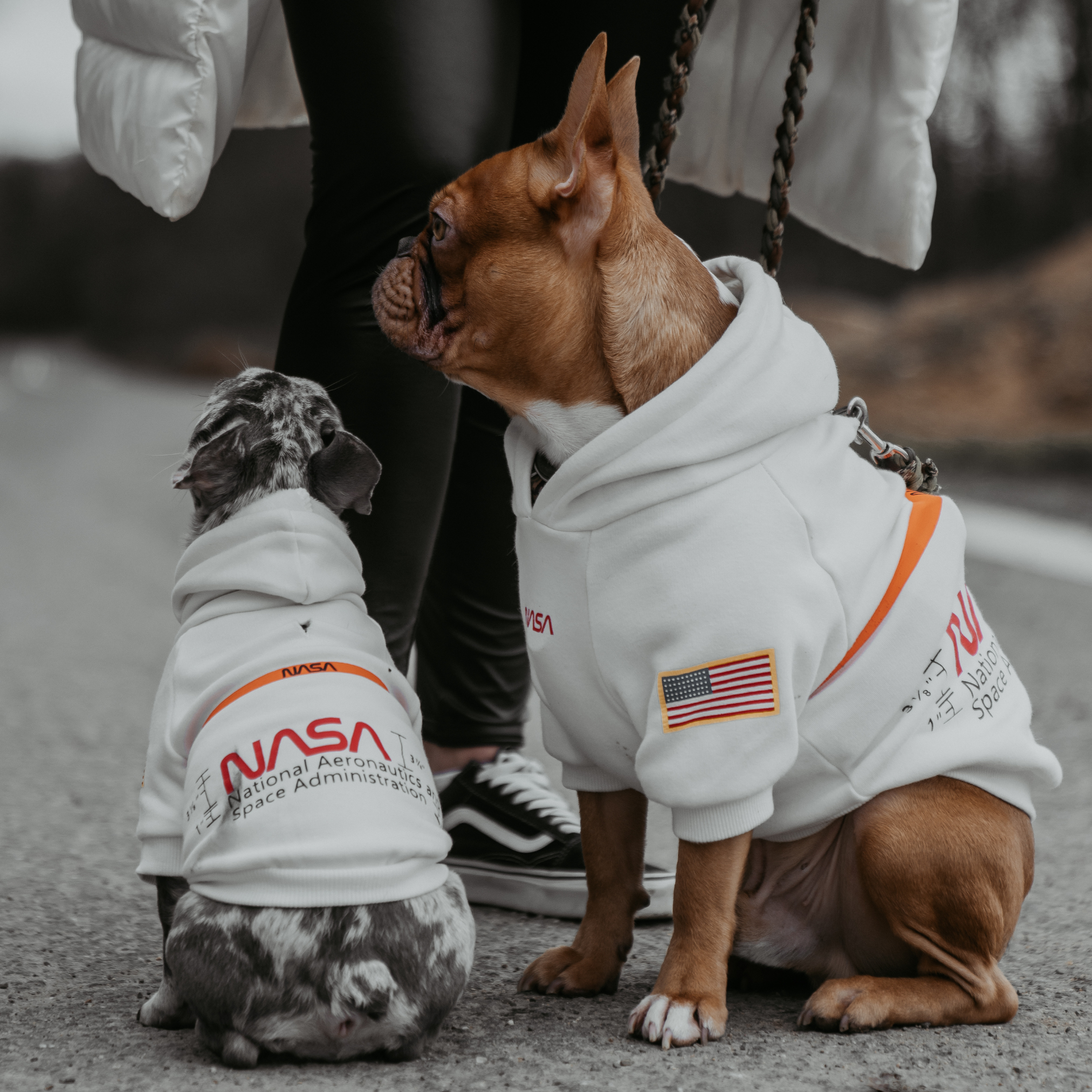 NASA ™ Hundepullover | Dogs Supreme © | Hoodie | Weiß